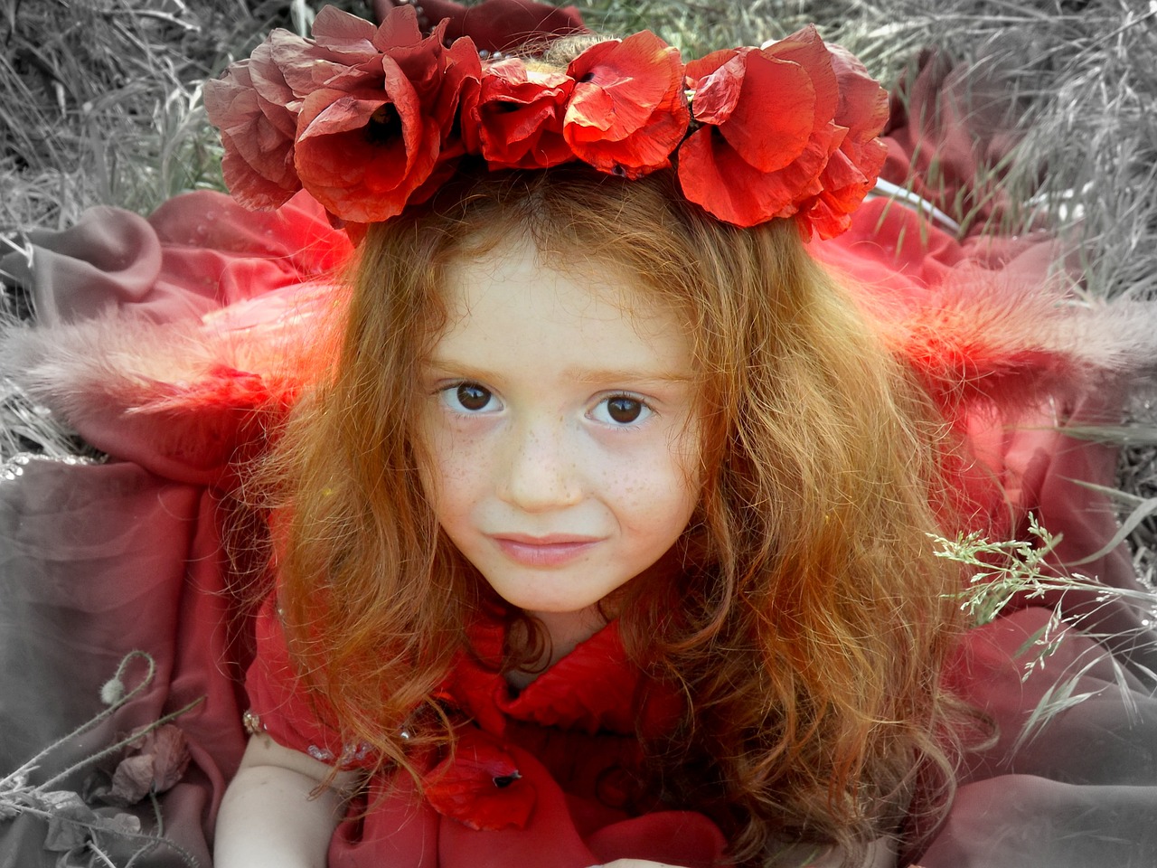 girl poppies red free photo