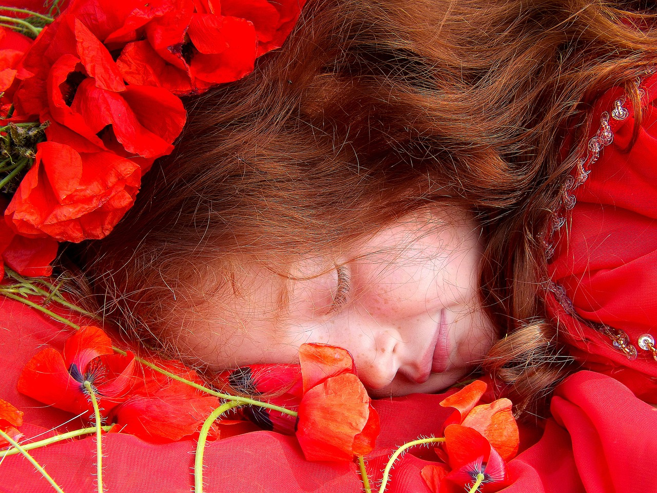 girl poppies red free photo