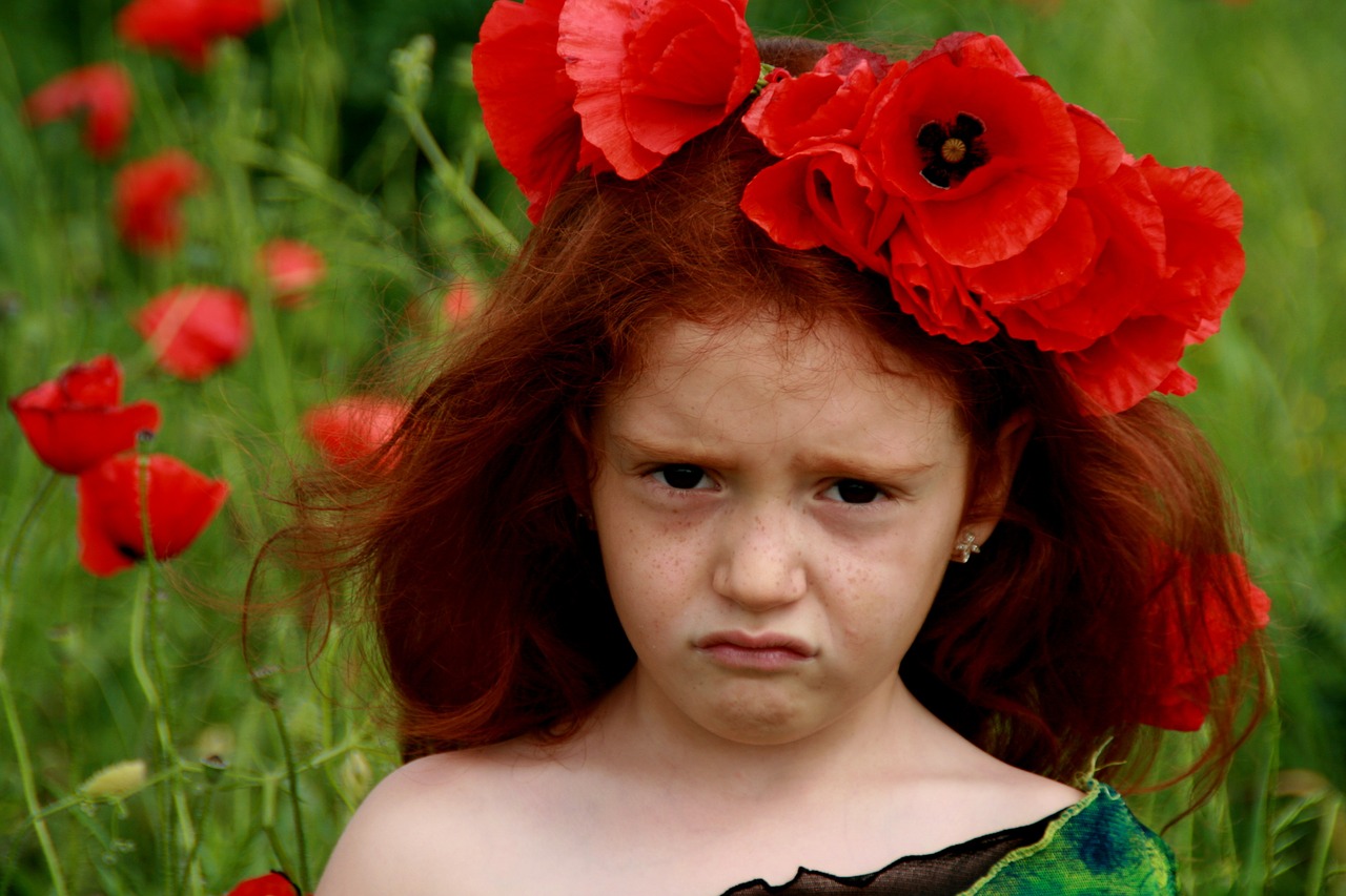 girl poppies red free photo