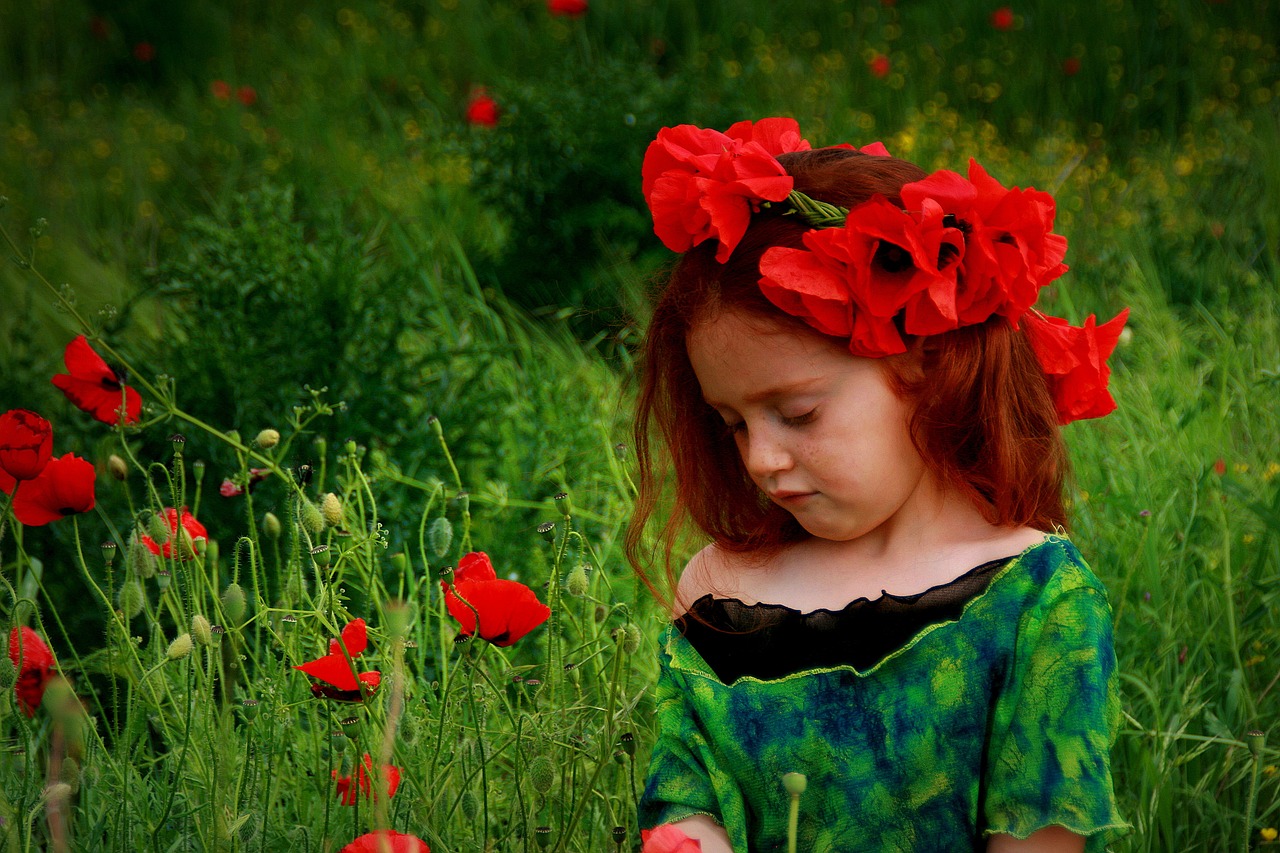 girl poppies red free photo