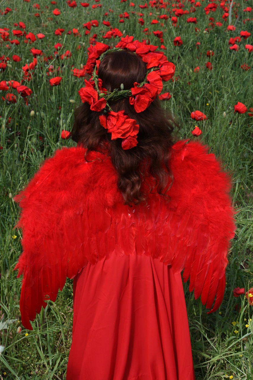 girl poppies red free photo