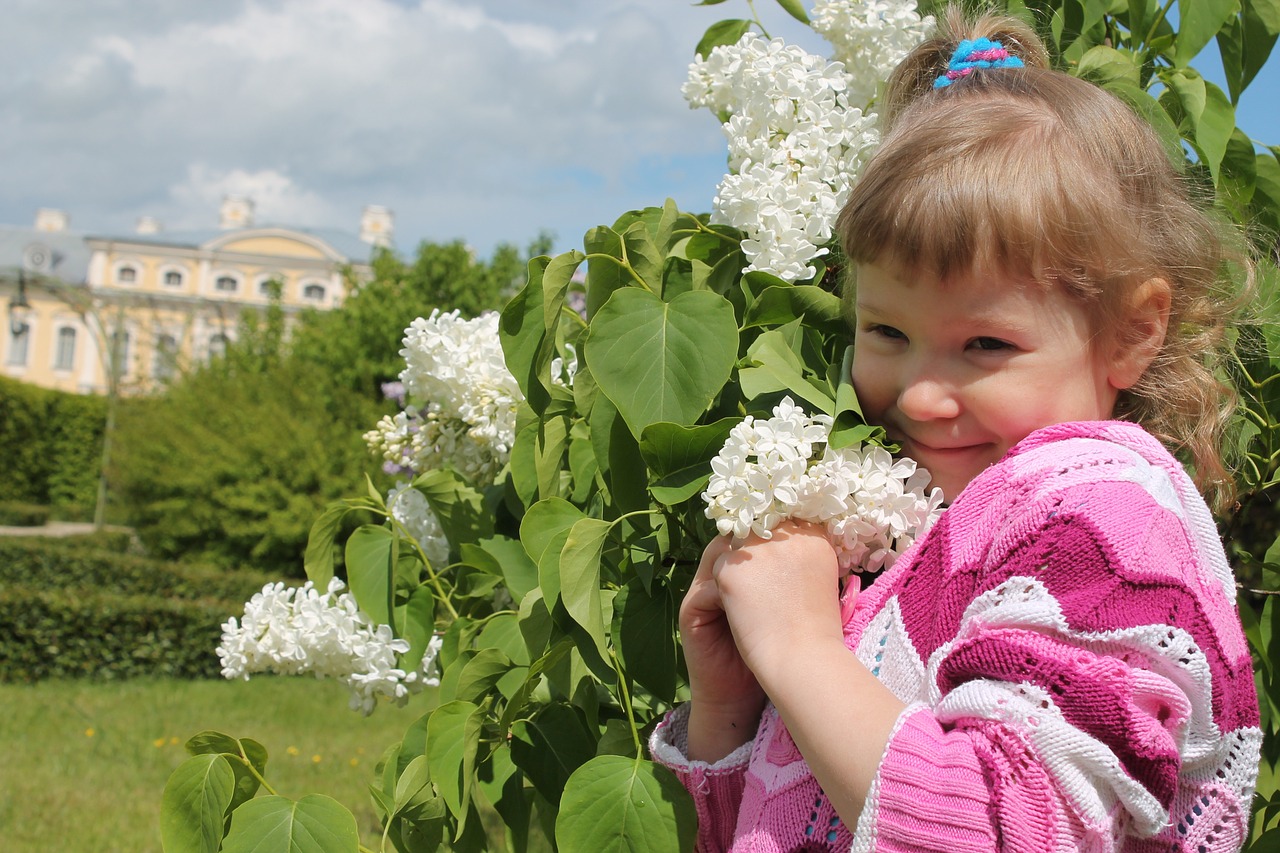 girl lilac child free photo