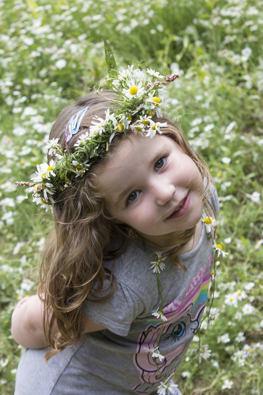 girl daisy field free photo