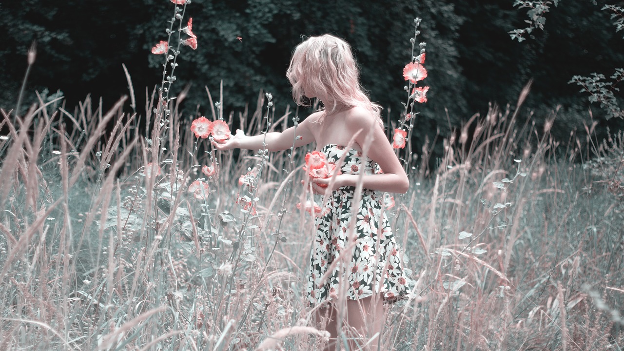 girl collects flowers nature summer free photo
