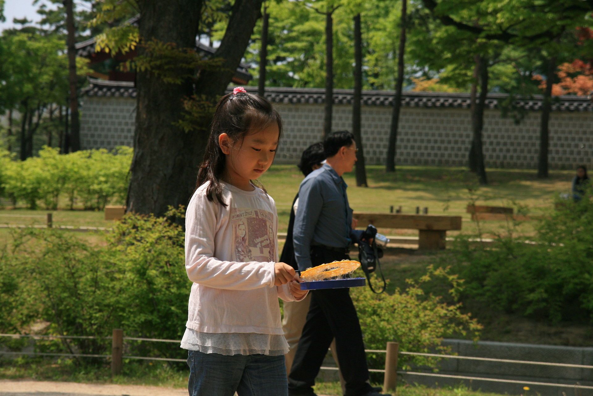 Girl In A Korean Palace