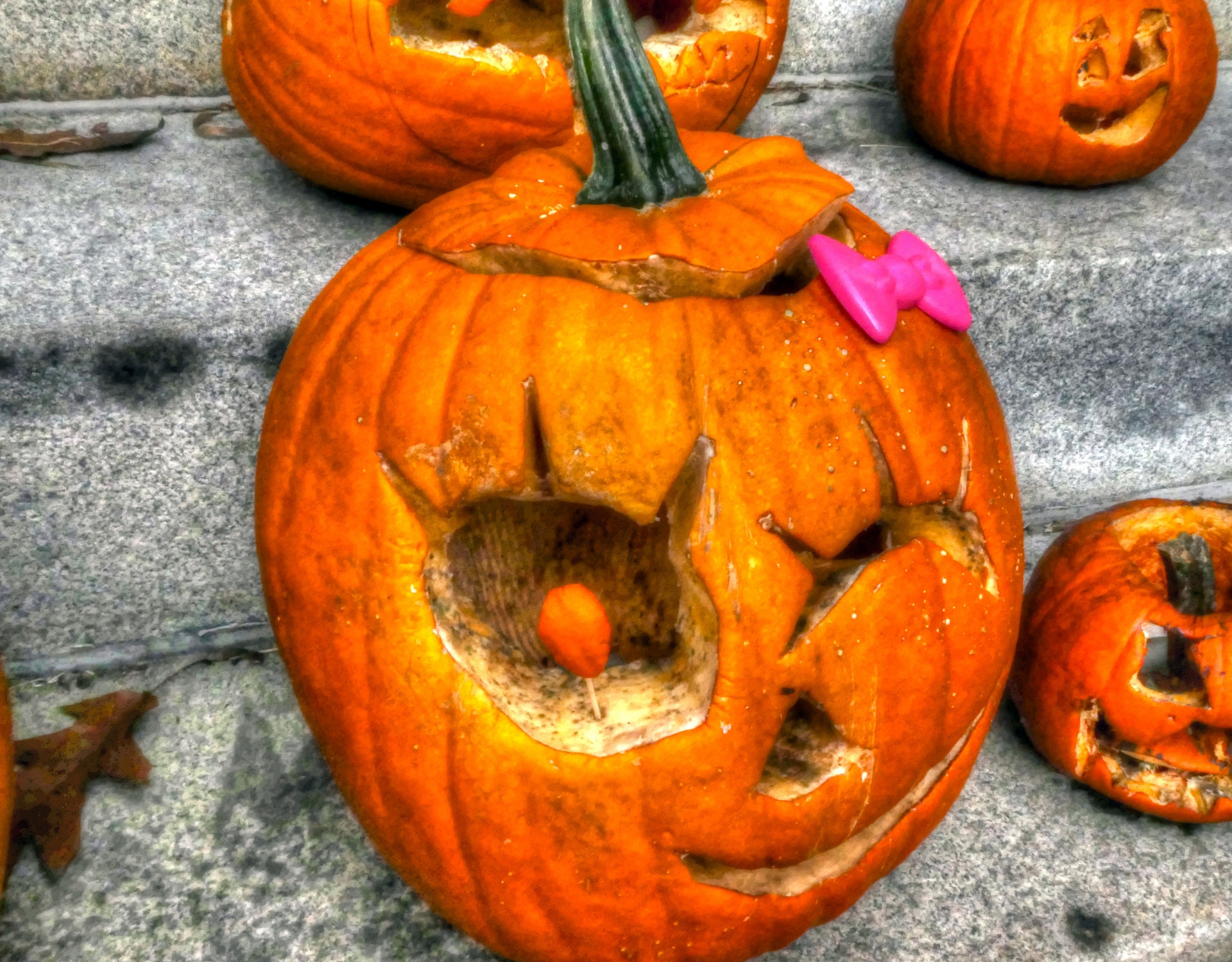 halloween pumpkin jack-o-lantern free photo