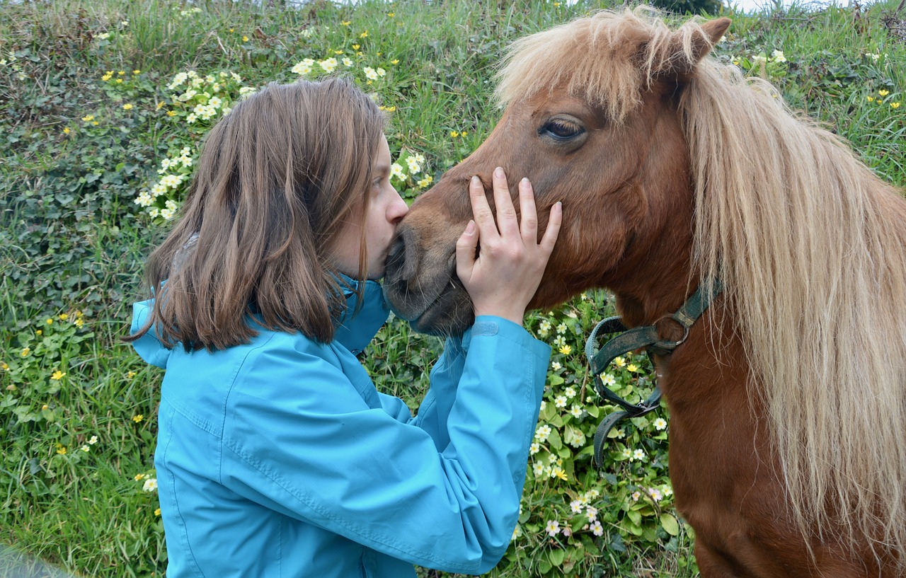 girl shetland pony kisses pony girl complicities girl pony free photo