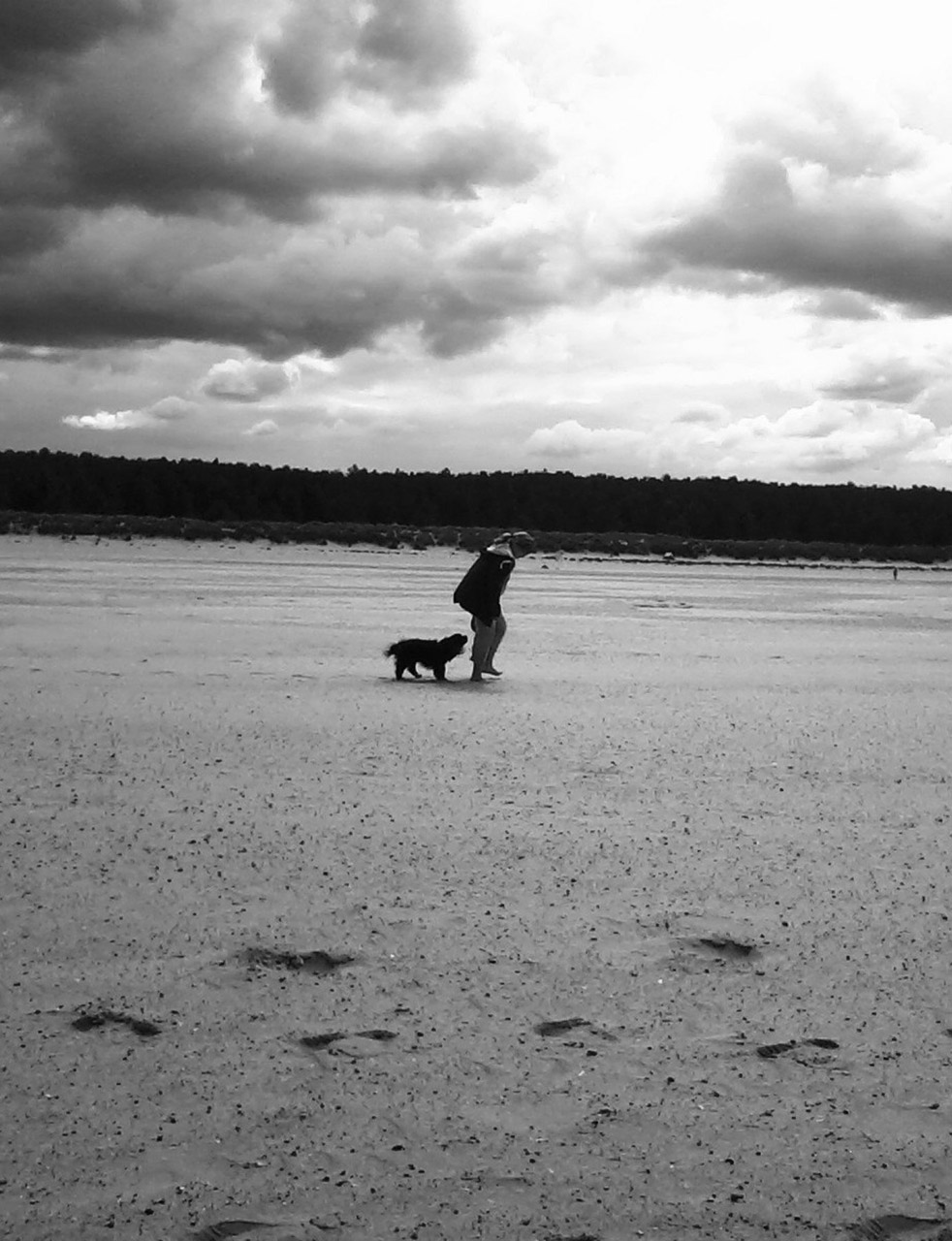 dog girl beach free photo