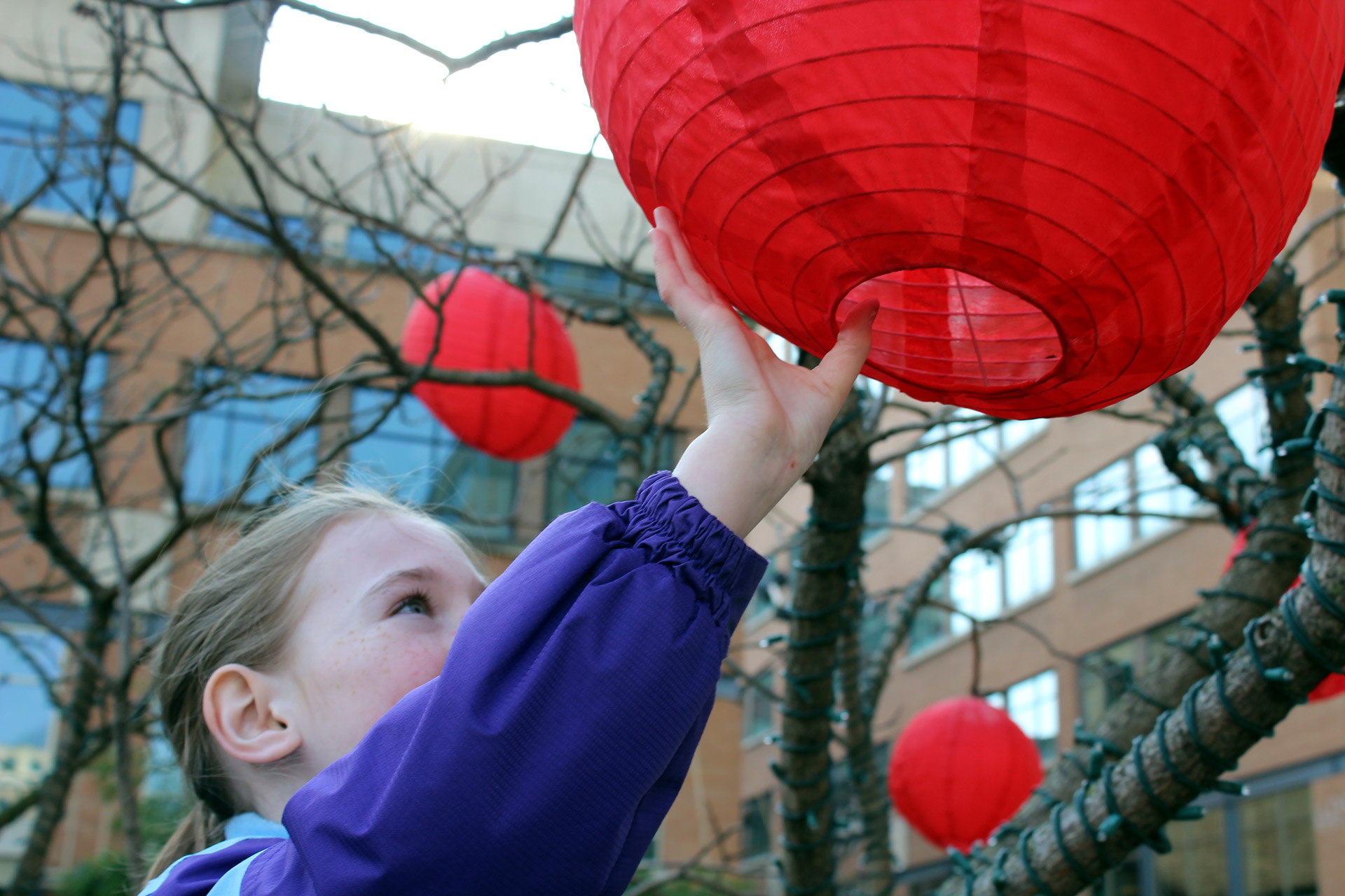 balloon red chinese new year free photo