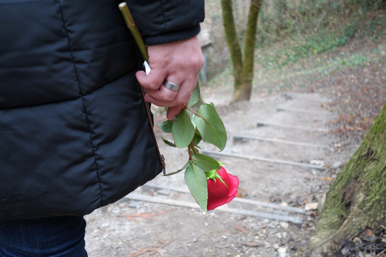 girl with red rose love waiting free photo