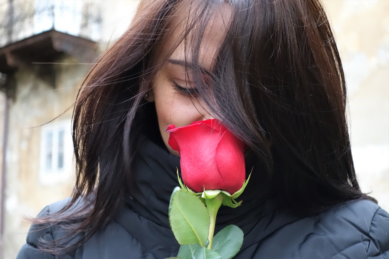 girl with red rose love smiling free photo