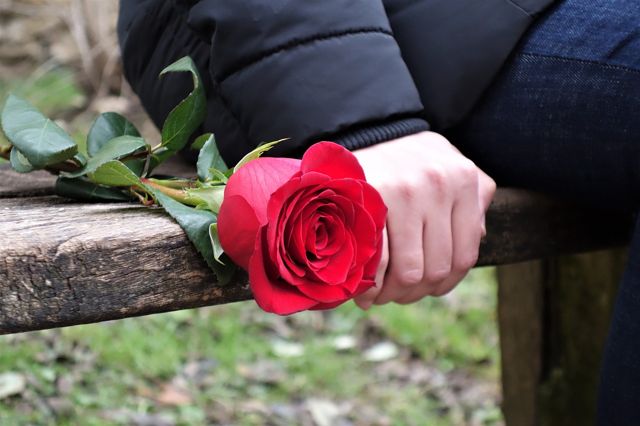 girl with red rose love waiting free photo