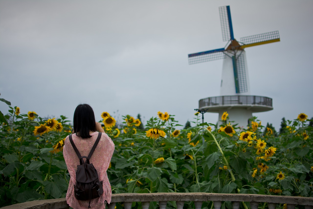 girls sunflower windmill free photo