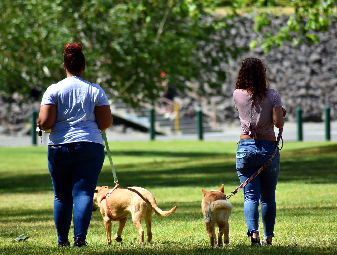 girls dogs walking free photo