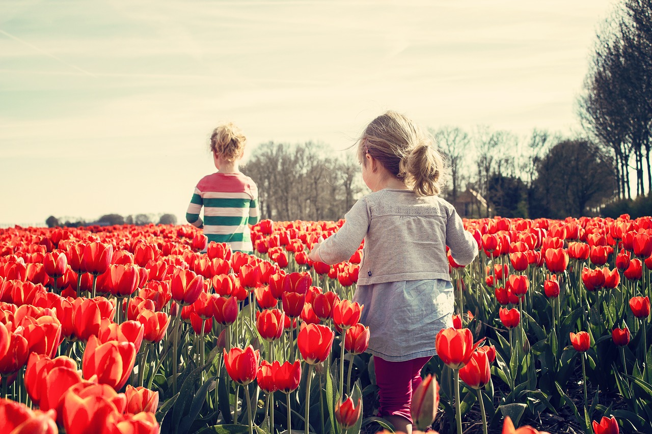 girls children tulips free photo