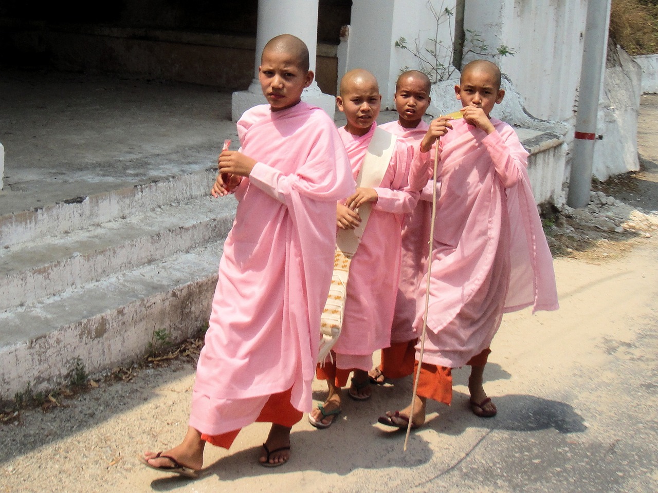 girls monastery buddhism free photo