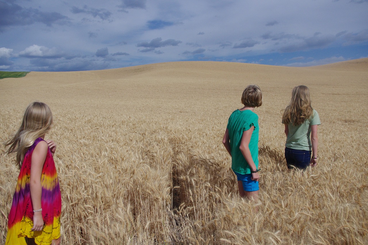 girls wheat field free photo
