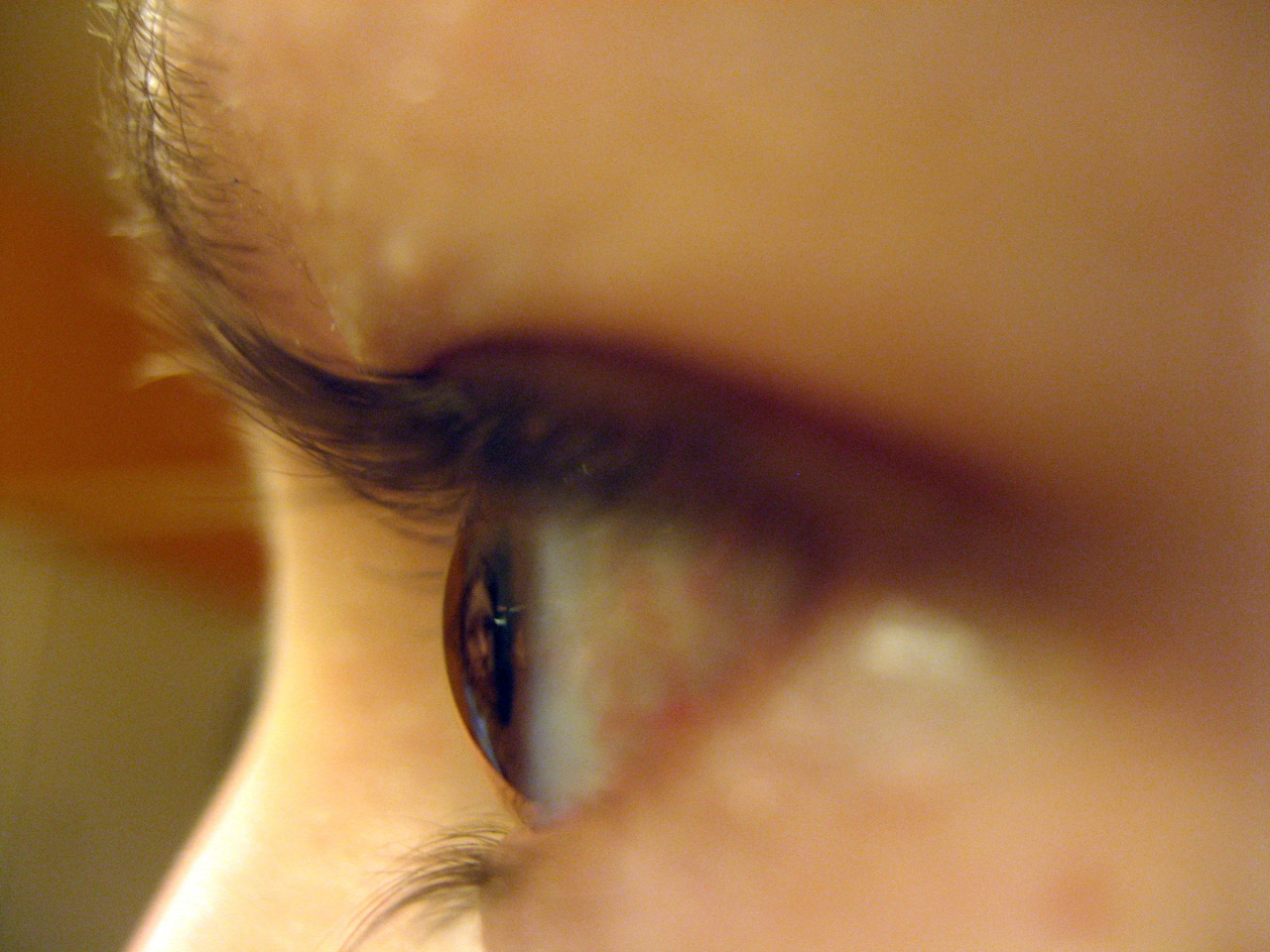 girl eyeball closeup free photo