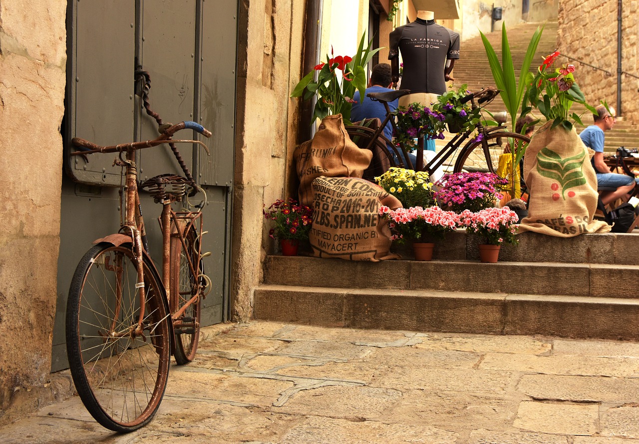 girona  vintage  flower festival free photo