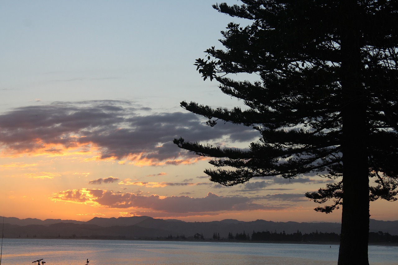 gisborne new zealand sunset free photo