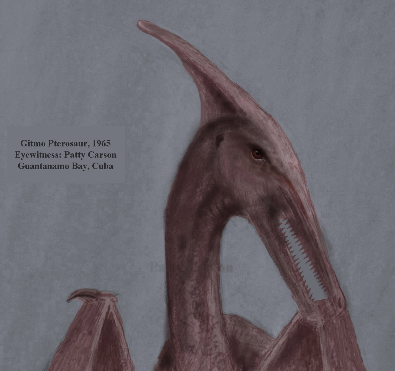 pterodactyl pterosaur ropen free photo