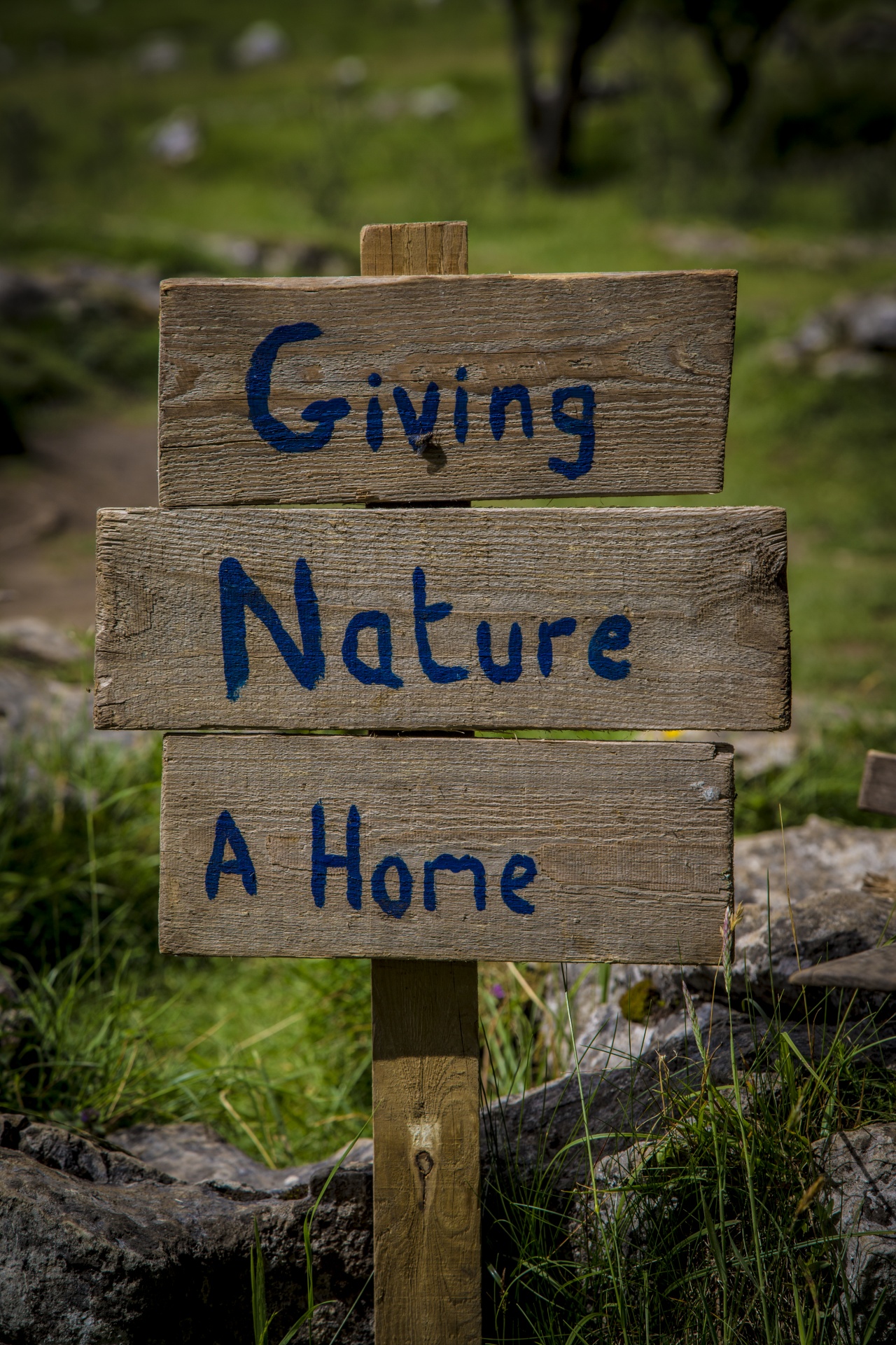 giving nature home free photo
