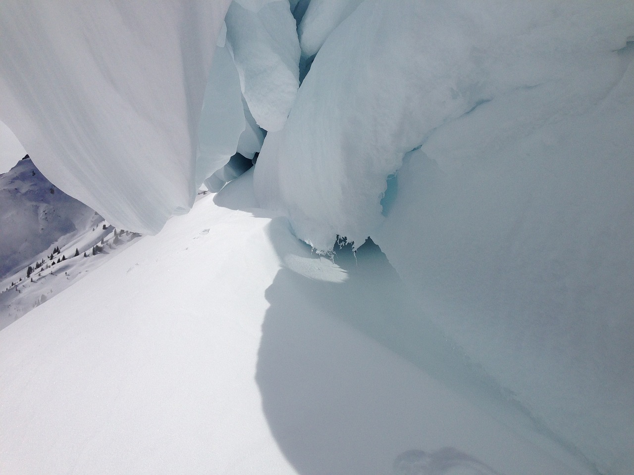 glacier snow alpine free photo