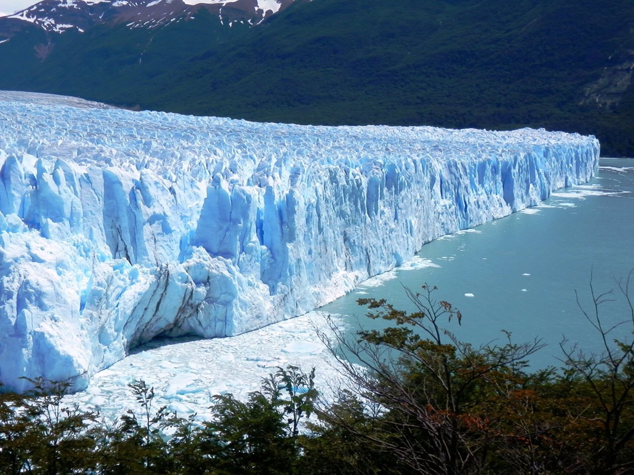 glacier perito moreno argentina free photo