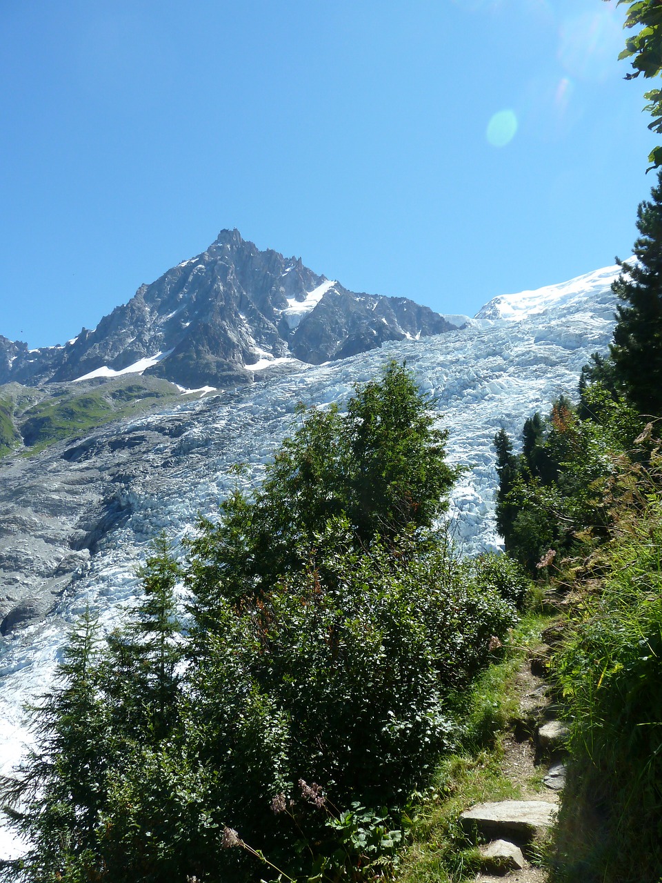 glacier contrast vegetation free photo