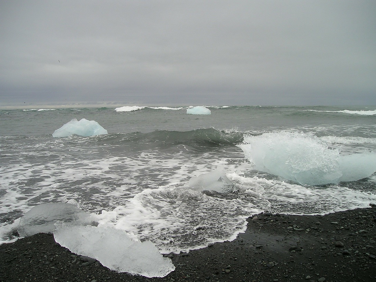 glacier sea iceberg free photo