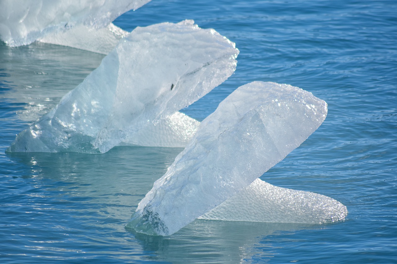 glacier  patagonia  nature free photo