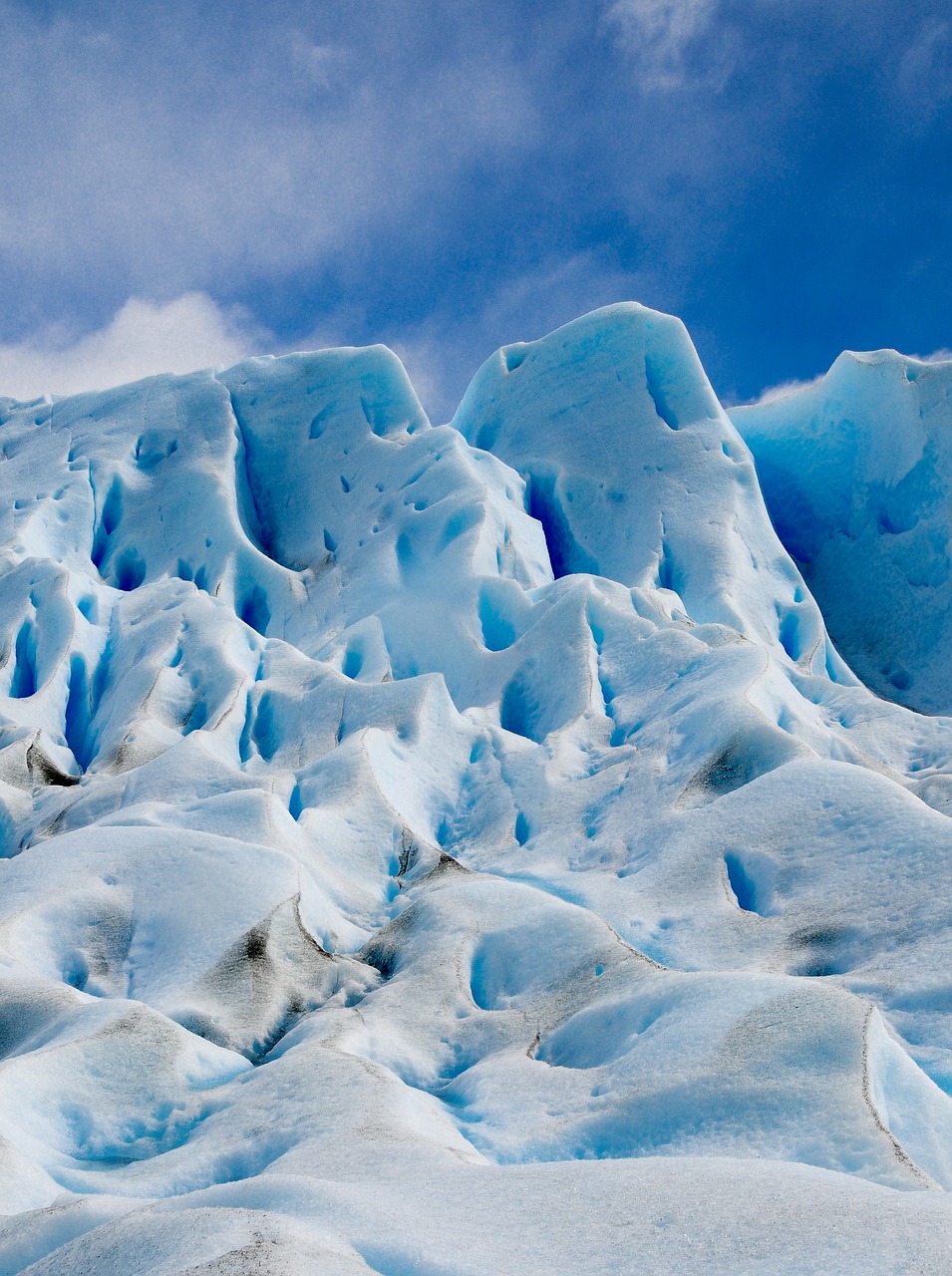 glacier  argentina  mountain free photo