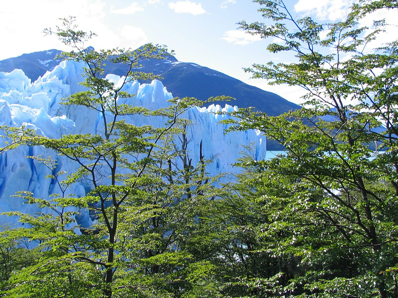 glacier nature argentina free photo