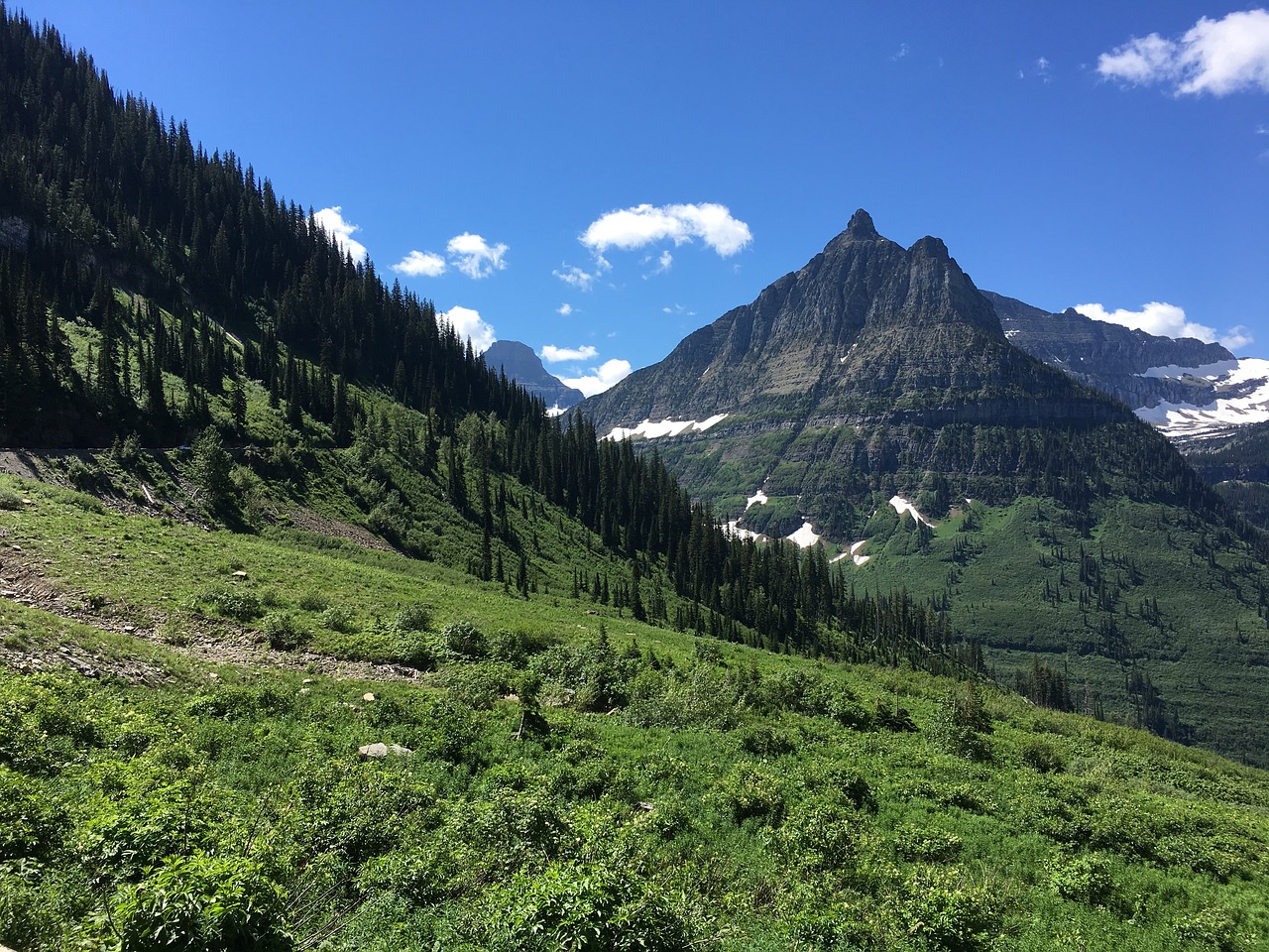 glacier  montana  landscape free photo