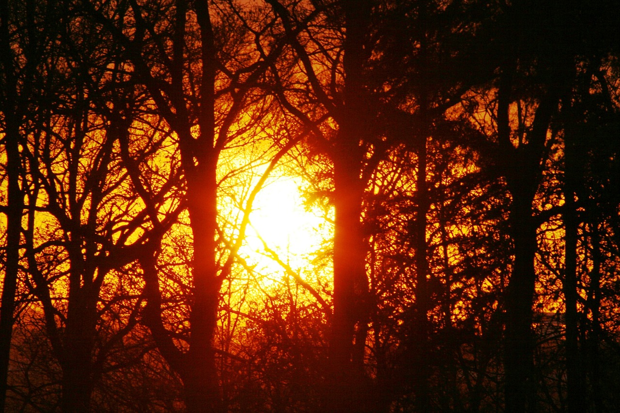 glade light sunset free photo