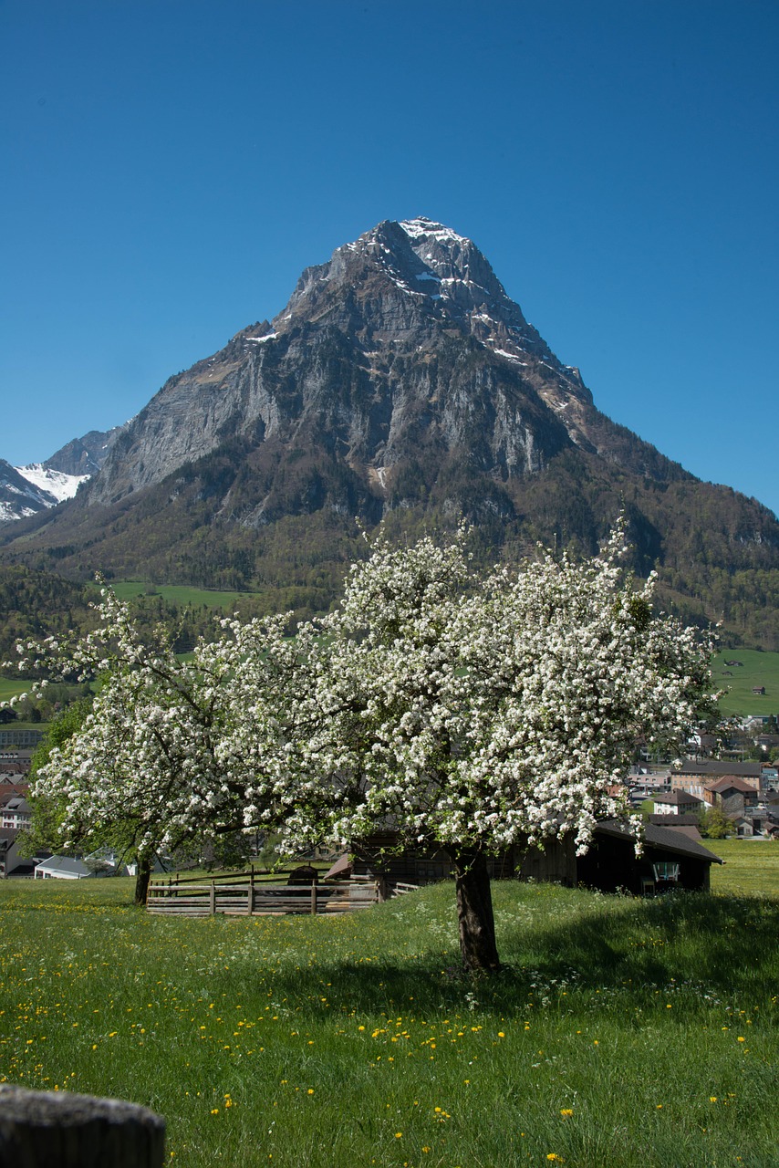 glarus glärnisch mountains free photo