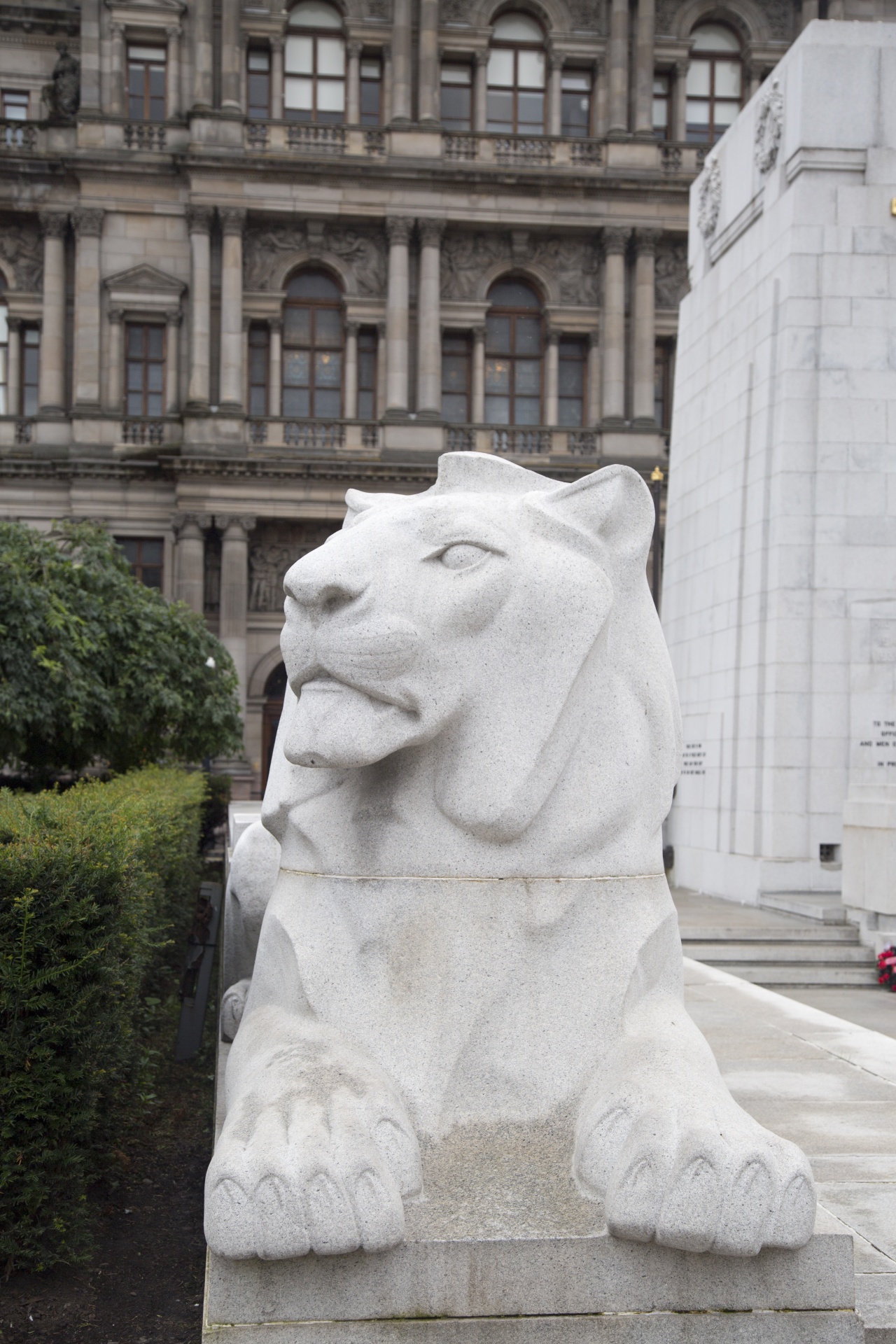 glasgow scotland street free photo