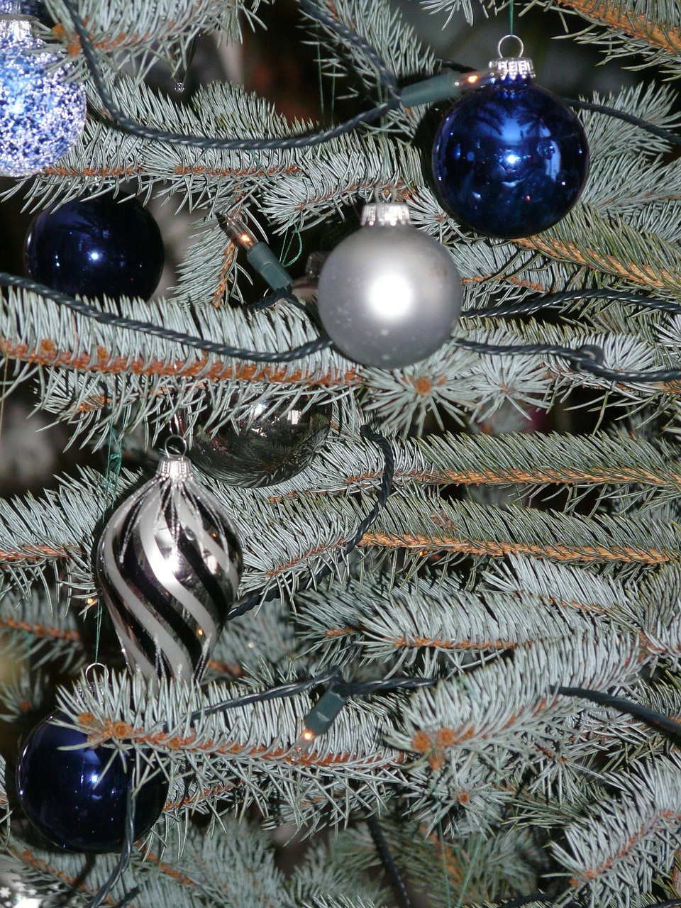 glaskugeln christbaumkugeln christmas ornaments free photo