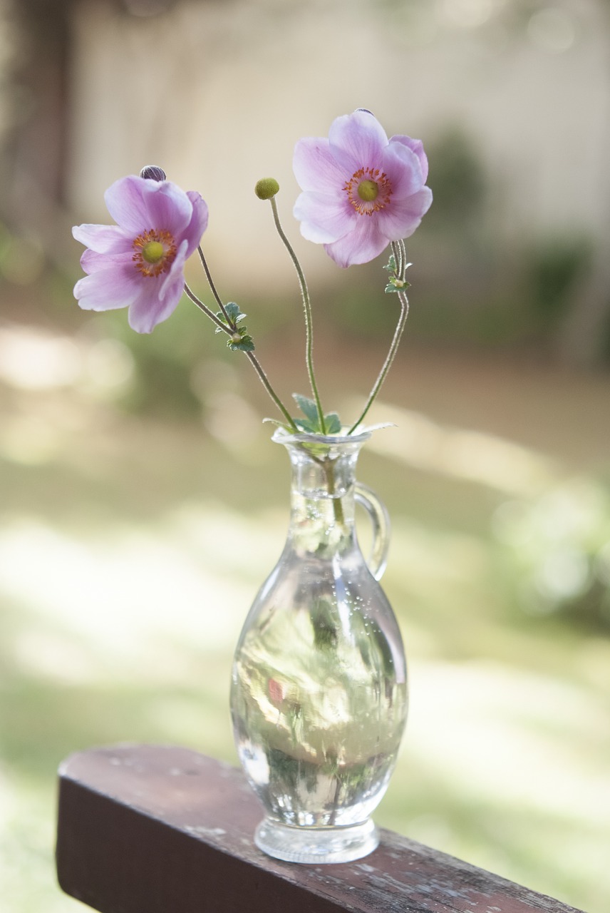 glass vase flowers free photo