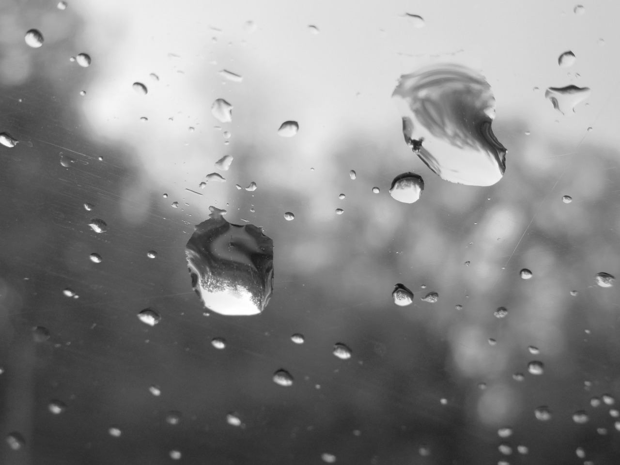 rain water glass free photo