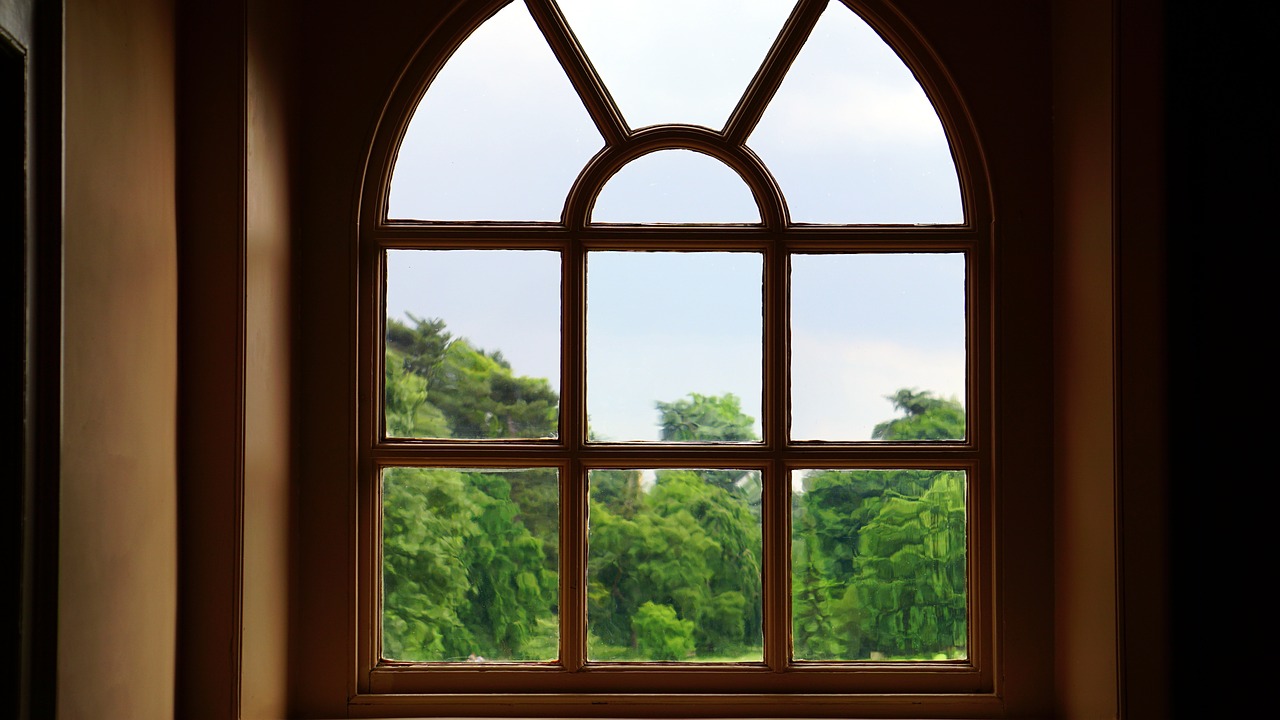 glass trees window free photo