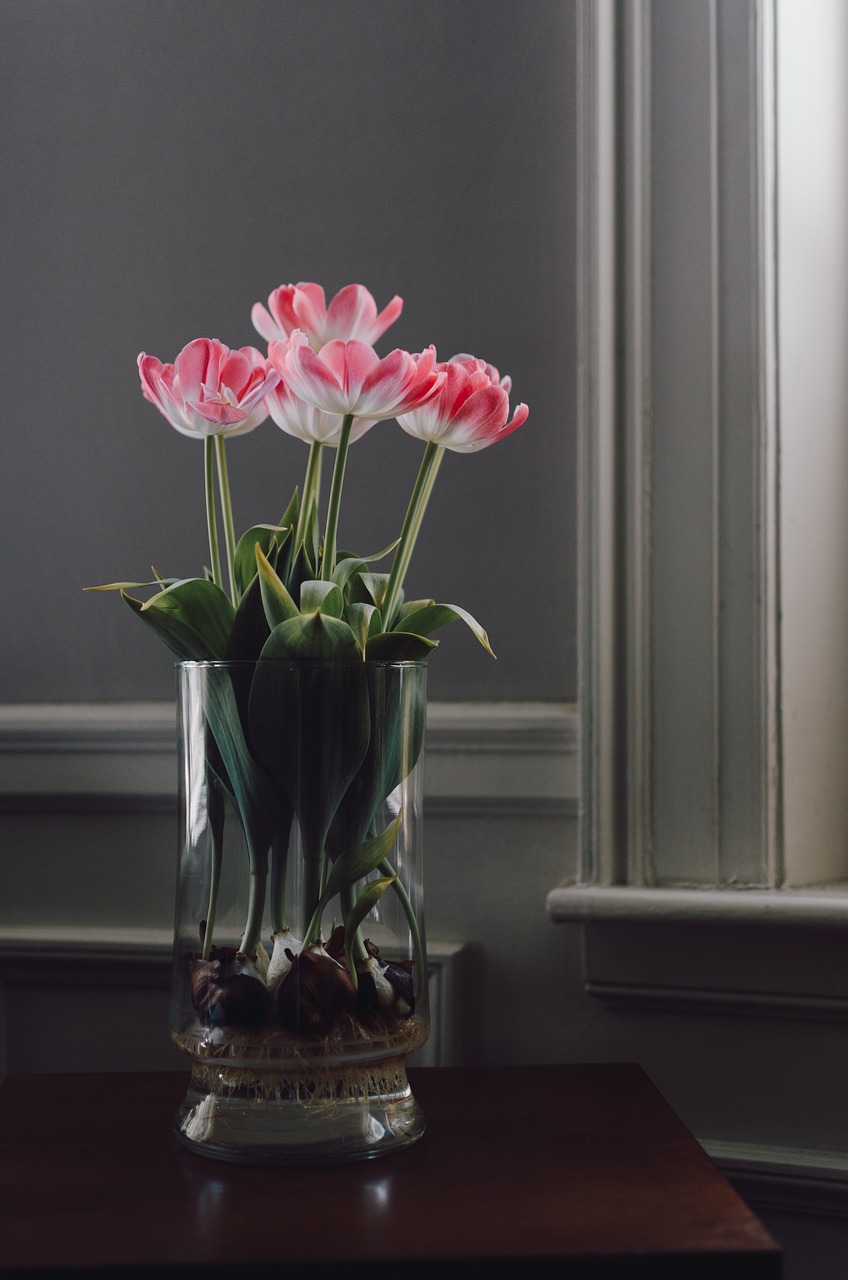glass flower vase free photo