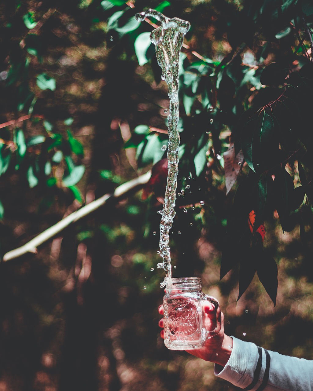 glass jar container free photo