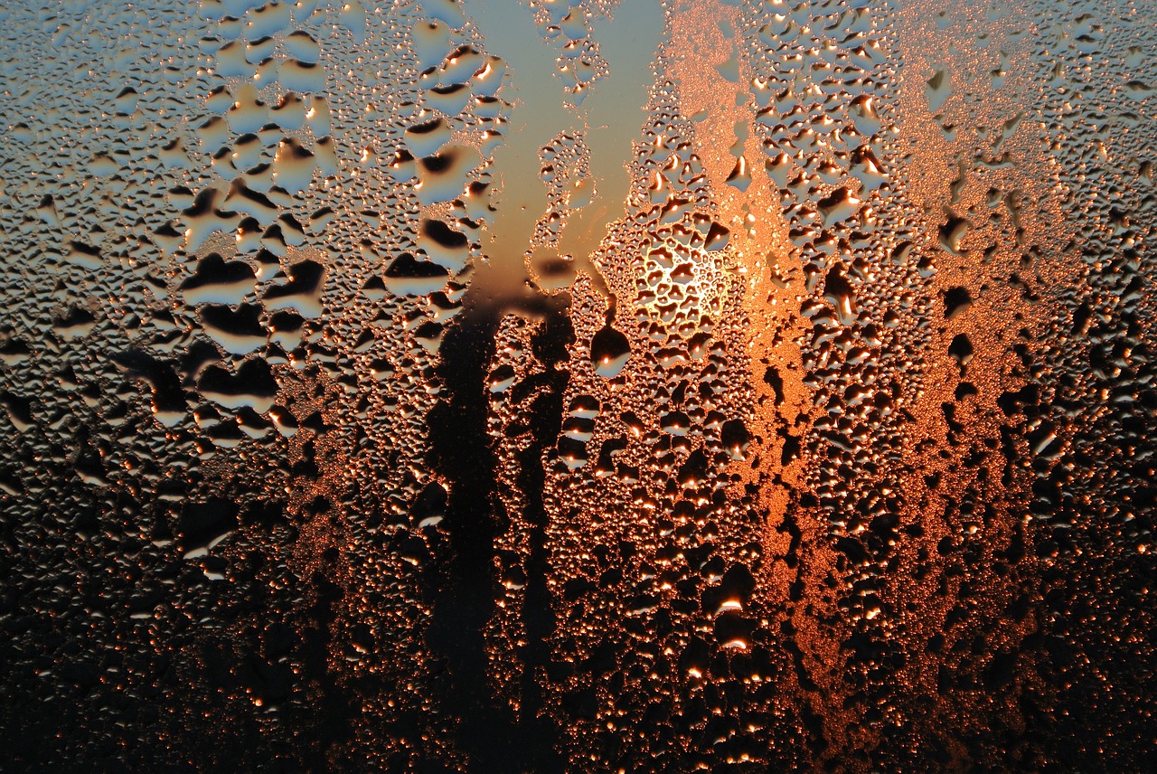 glass condensation sunrise free photo
