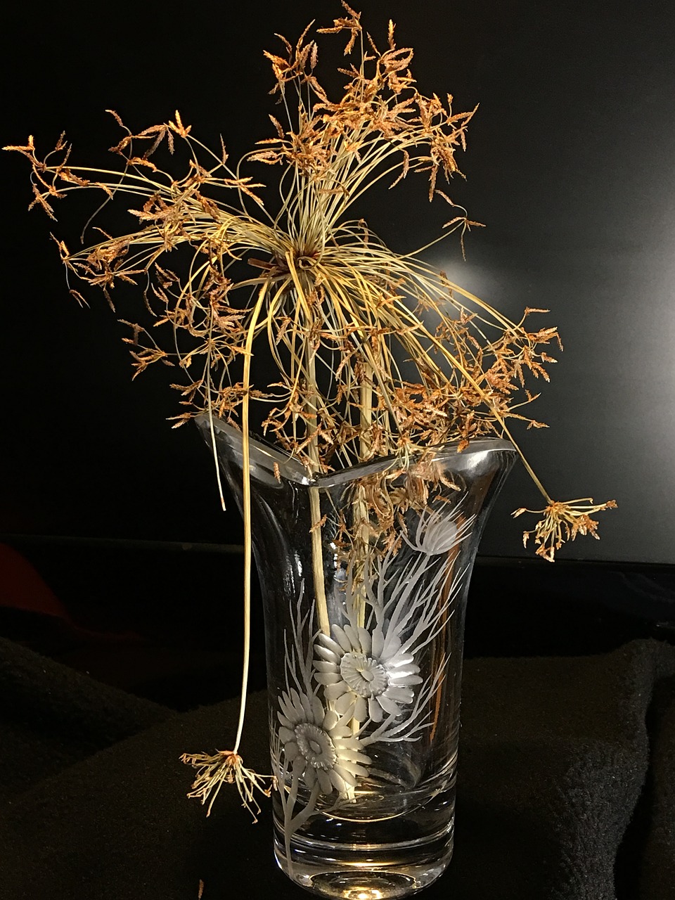 glass  dried plant  decoration free photo