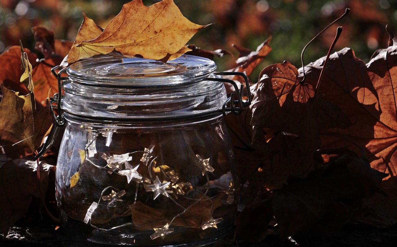 glass  lichterkette  fall foliage free photo