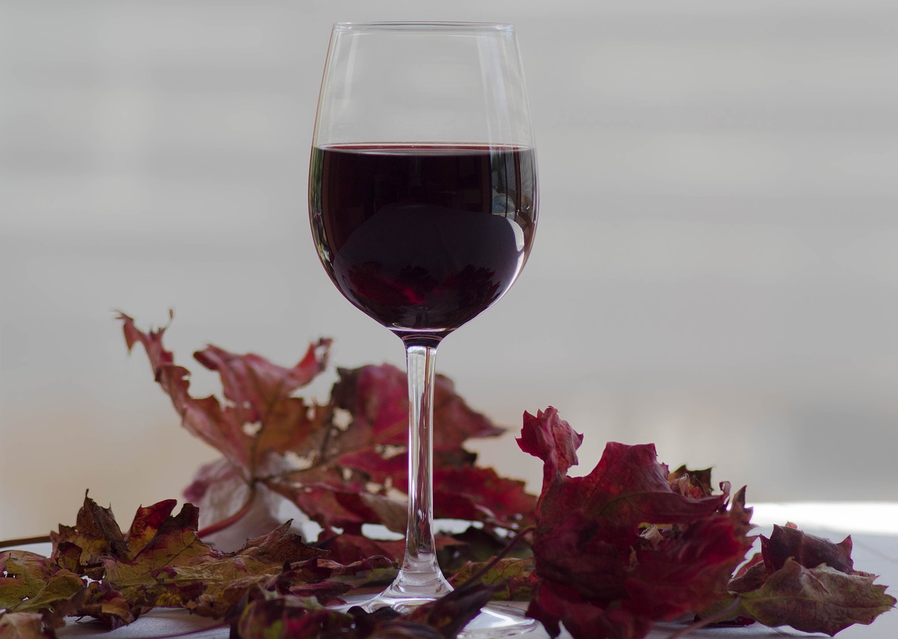 glass  wine  leaves free photo