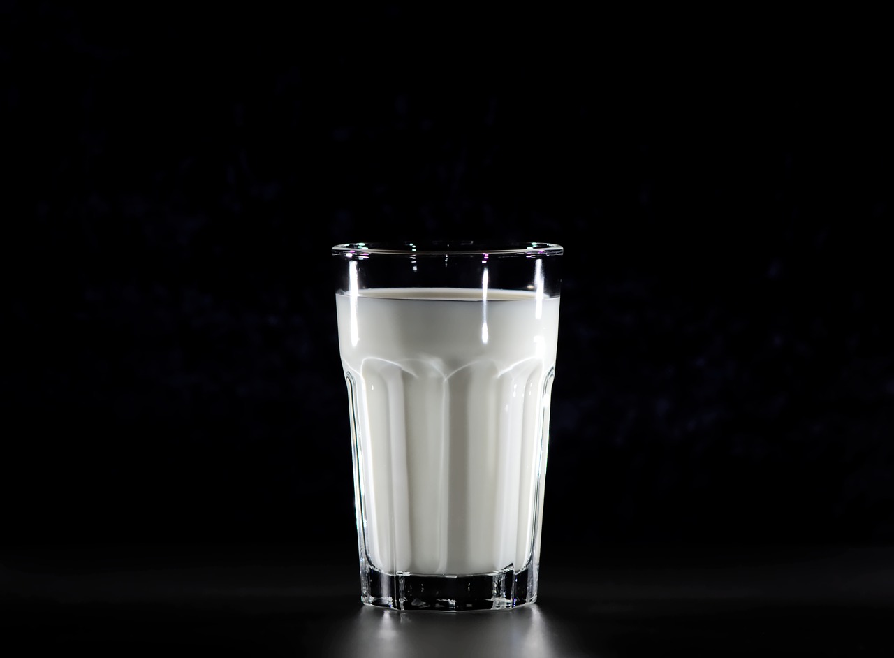 glass  milk  healthy free photo