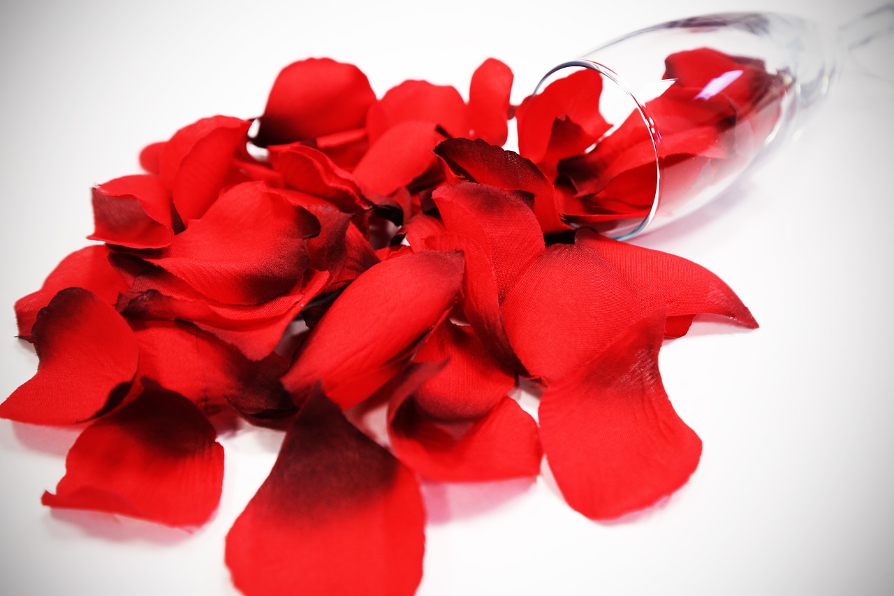 glass  red rose petals  heart free photo