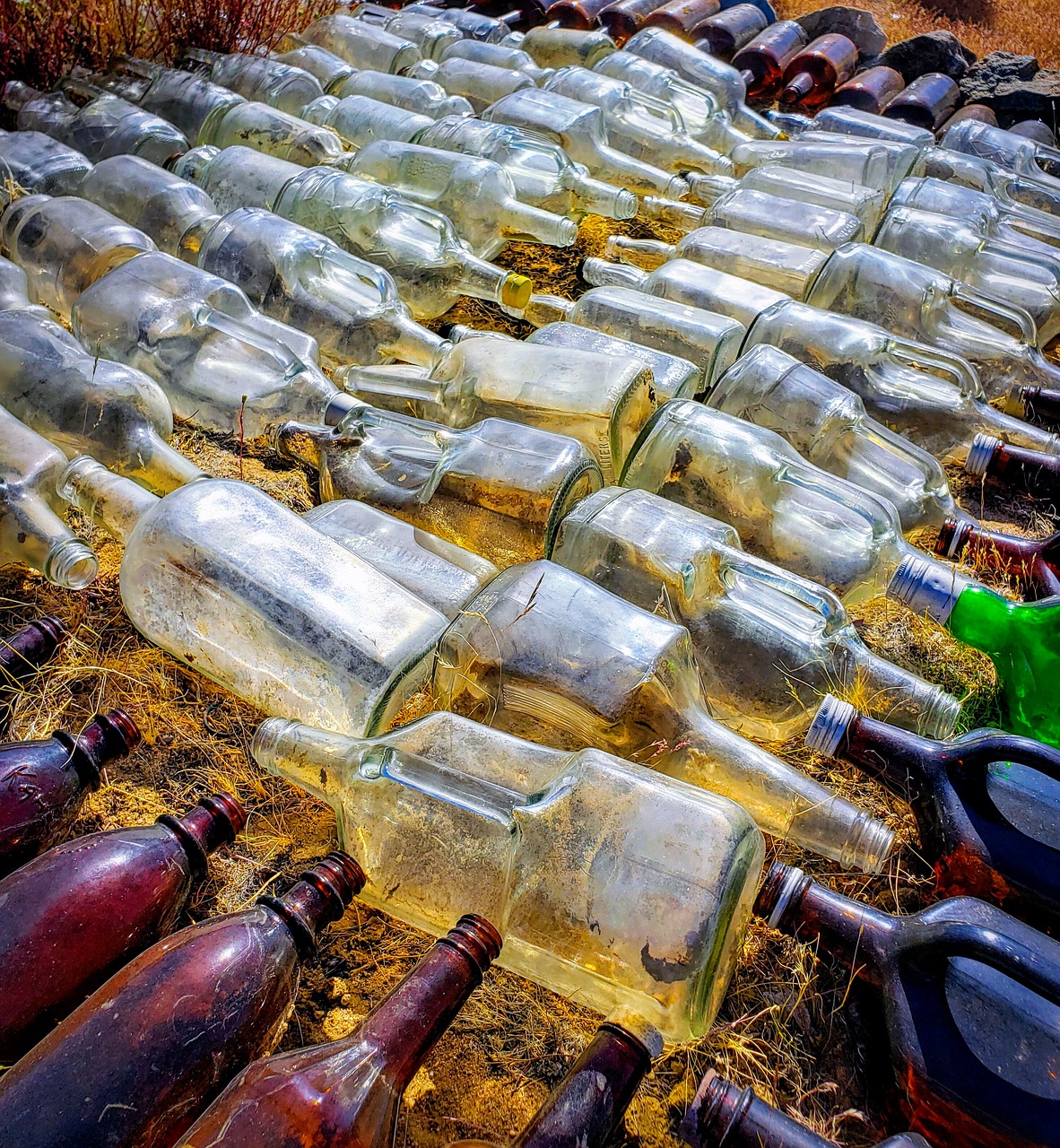 glass  bottles  organized free photo